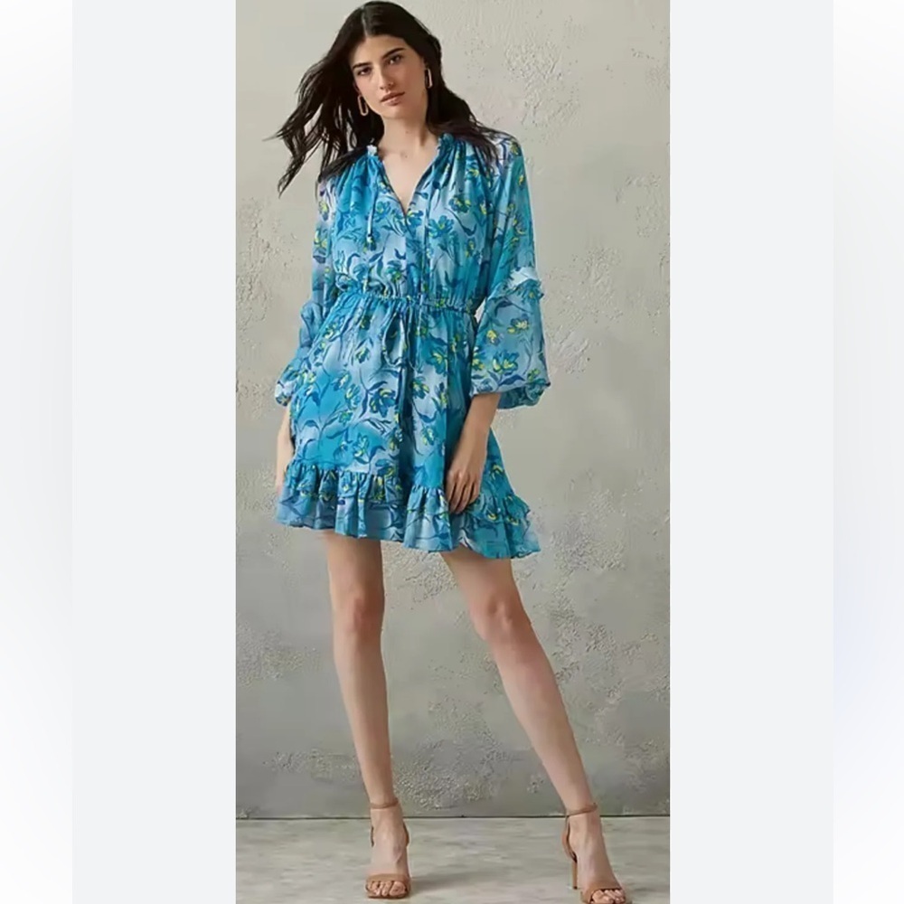 Prabal Gurung JC Penney‎ Blue Floral Cottage Dress Medium